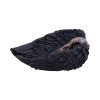 Edgar's Raven Trinket Holder 17cm - Image 2
