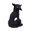 Salem (Small) 19.6cm - Image 3