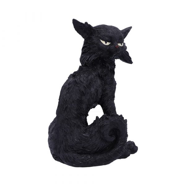 Salem (Small) 19.6cm - Image 3