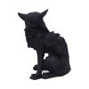 Salem (Small) 19.6cm - Image 4