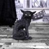 Salem (Small) 19.6cm - Image 5