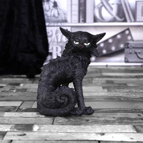 Salem (Small) 19.6cm - Image 5