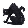 Spite (Small) 16cm - Image 2
