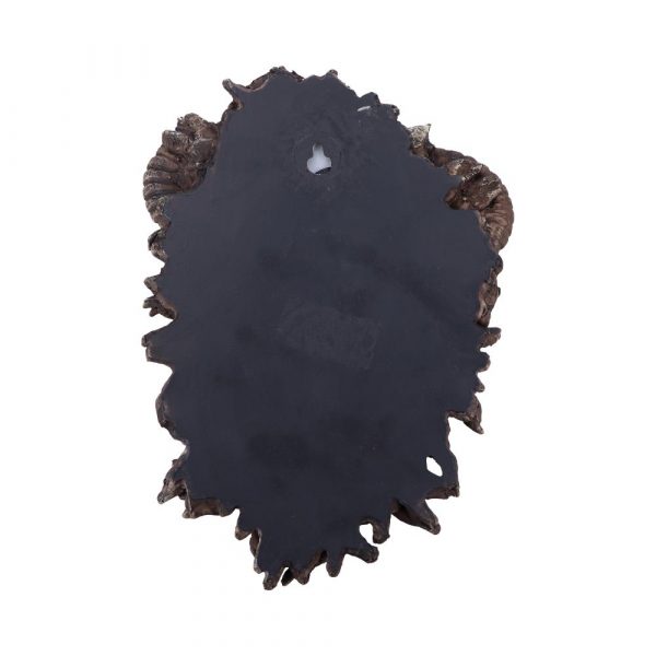 Rawan 21.3cm - Image 3