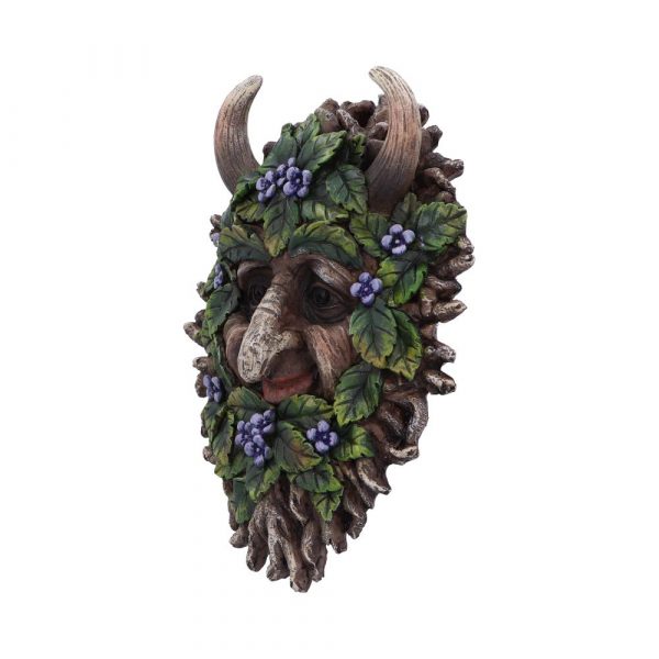 Alder 20.2cm - Image 2
