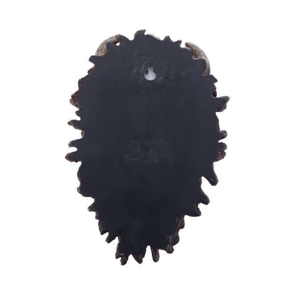 Alder 20.2cm - Image 3
