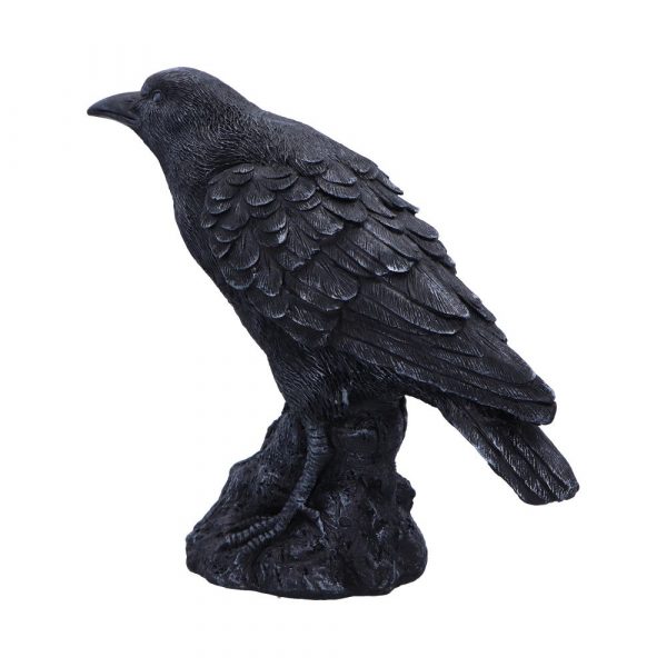 Raven Messenger 25cm - Image 2