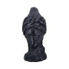 Raven Messenger 25cm - Image 3