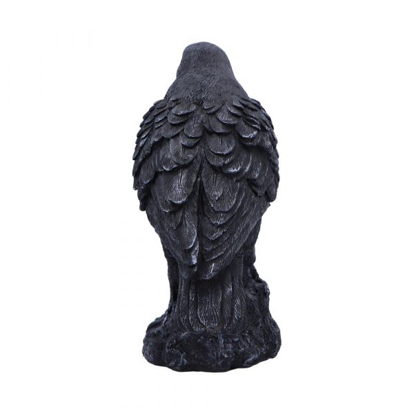 Raven Messenger 25cm - Image 3