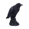Raven Messenger 25cm - Image 4
