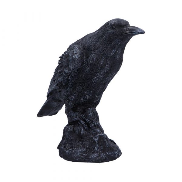 Raven Messenger 25cm - Image 4