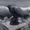 Raven Messenger 25cm - Image 5