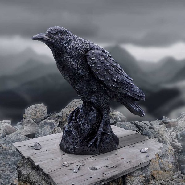 Raven Messenger 25cm - Image 5