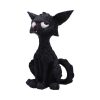Kat 20cm - Image 3