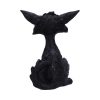 Kat 20cm - Image 4