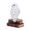 Library of Wisdom 17cm - Image 2