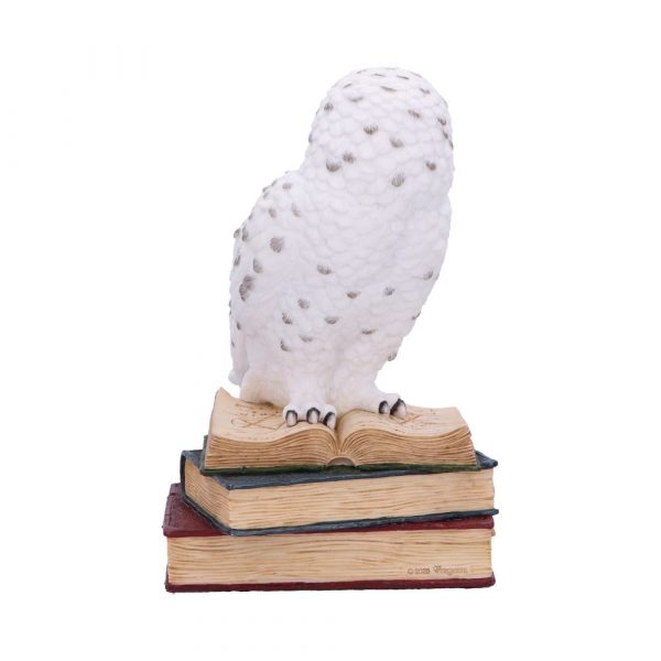 Library of Wisdom 17cm - Image 3