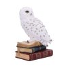 Library of Wisdom 17cm - Image 4
