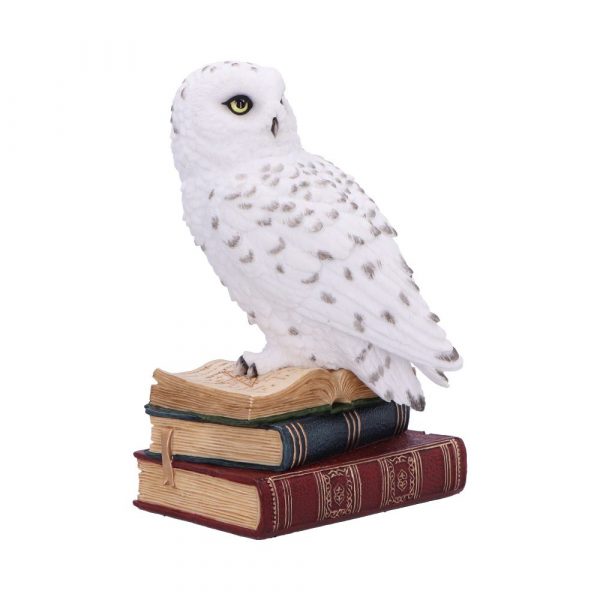 Library of Wisdom 17cm - Image 4