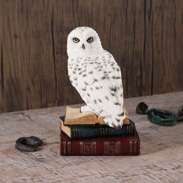 Library of Wisdom 17cm - Image 5
