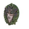 Fern 20cm - Image 2