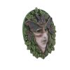 Fern 20cm - Image 4