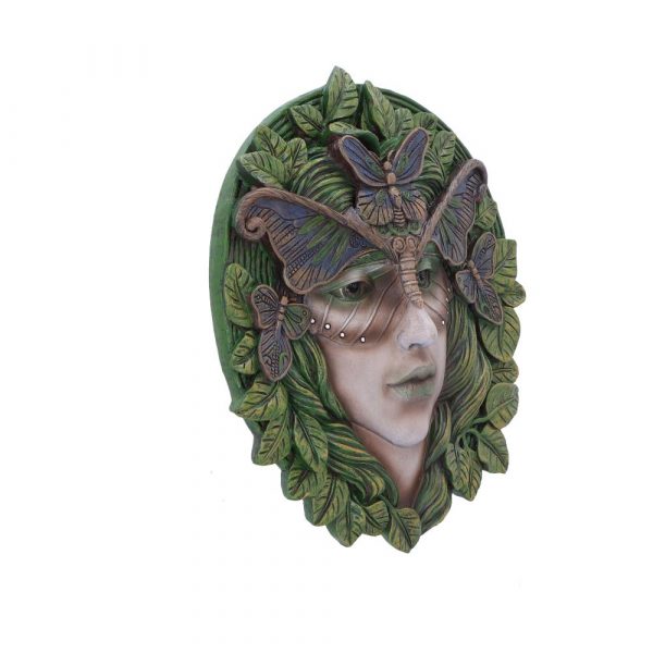 Fern 20cm - Image 4