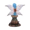 Bryony 17.5cm - Image 3