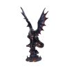 Cathoron's Call 49cm - Image 4