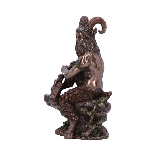 Pan (Medium) 15cm - Image 2