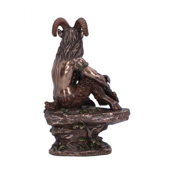 Pan (Medium) 15cm - Image 3