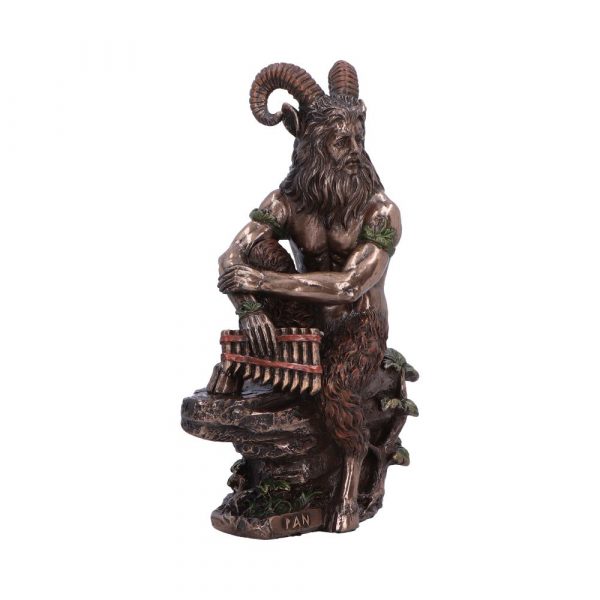 Pan (Medium) 15cm - Image 4