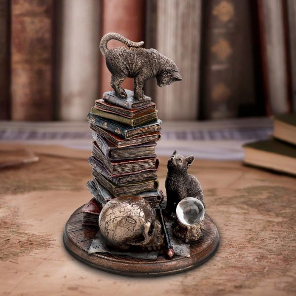 Feline Scholars 18cm - Image 5