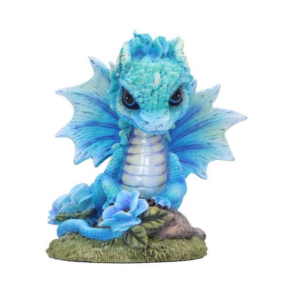 Blue Poppy Flower Dragon 11cm Flower Dragons