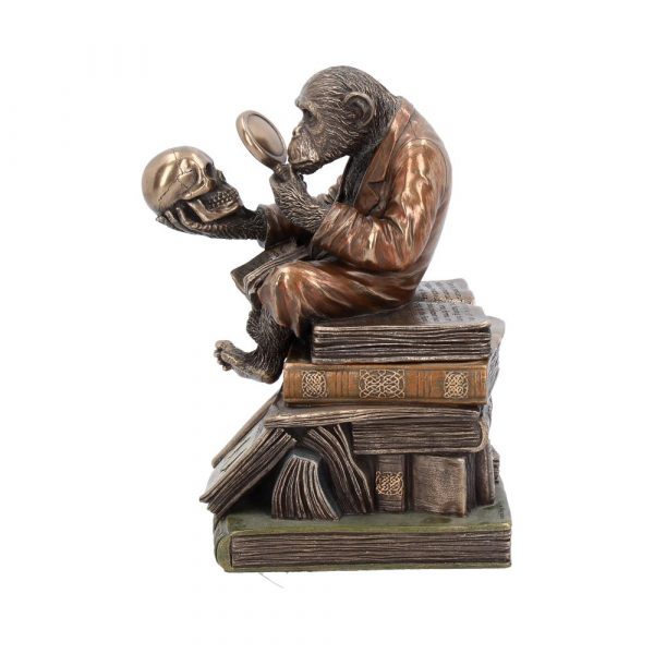 Darwinism of Evolutionary Theory  17.5cm - Image 2