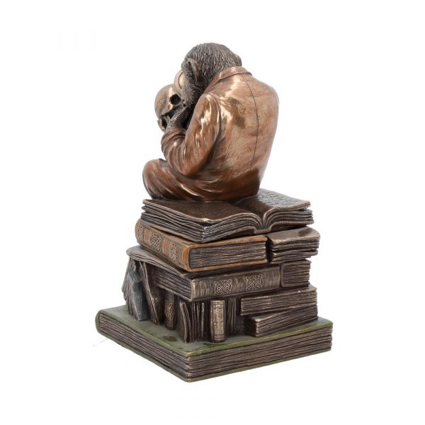 Darwinism of Evolutionary Theory  17.5cm - Image 3