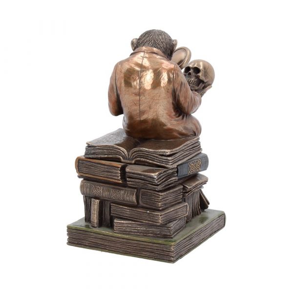 Darwinism of Evolutionary Theory  17.5cm - Image 4