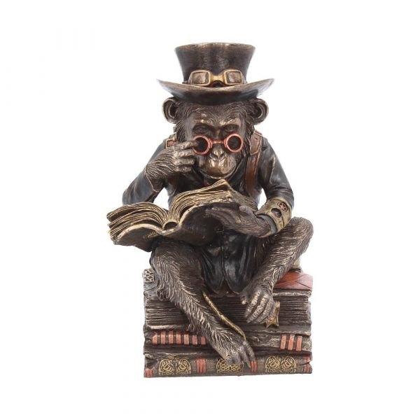 Chimpanzee Scholar 19.5cm Steampunk