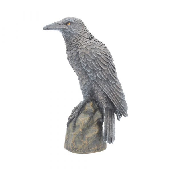 Ravens Rest 16cm - Image 2