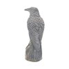 Ravens Rest 16cm - Image 3