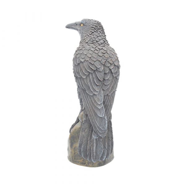 Ravens Rest 16cm - Image 3