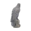 Ravens Rest 16cm - Image 4