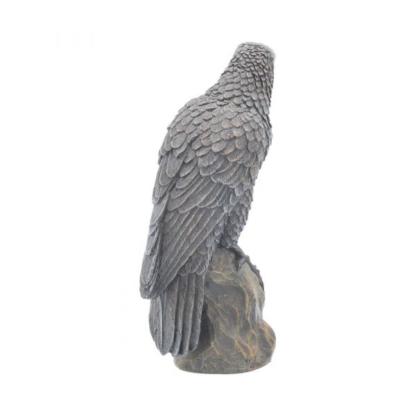 Ravens Rest 16cm - Image 4