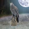 Ravens Rest 16cm - Image 5