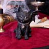 Vampuss 16cm - Image 5