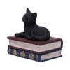 Salems Spells 11.7cm - Image 2