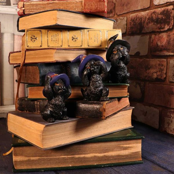 Three Wise Familiars 9.2cm Coven Keepers - Image 5