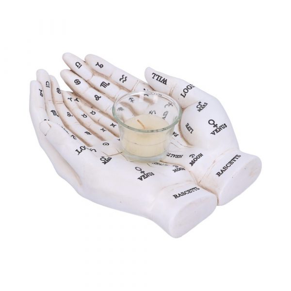 Palmist's Guide (White) 22.3cm - Image 3