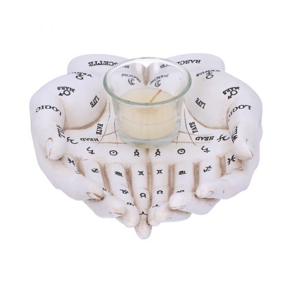 Palmist's Guide (White) 22.3cm - Image 4