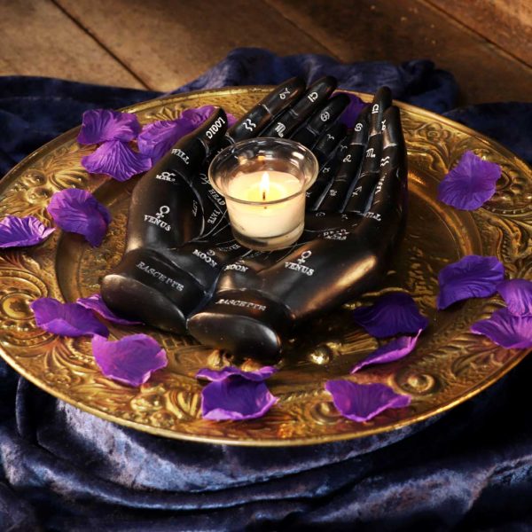 Palmist's Guide (Black) 22.3cm - Image 5